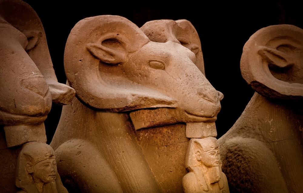 detail widdersphinx karnak (luxor/ägypten)