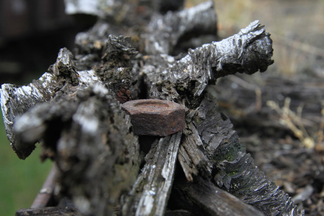 detail zahn der zeit