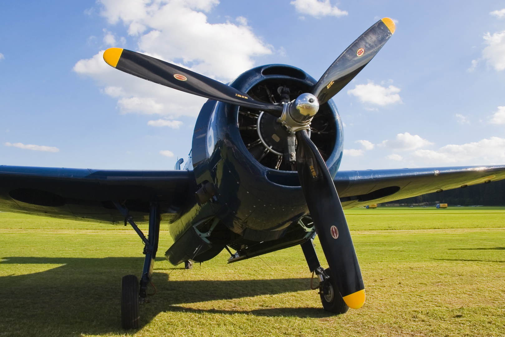 Detailansicht Grumman TBF-1 Avenger