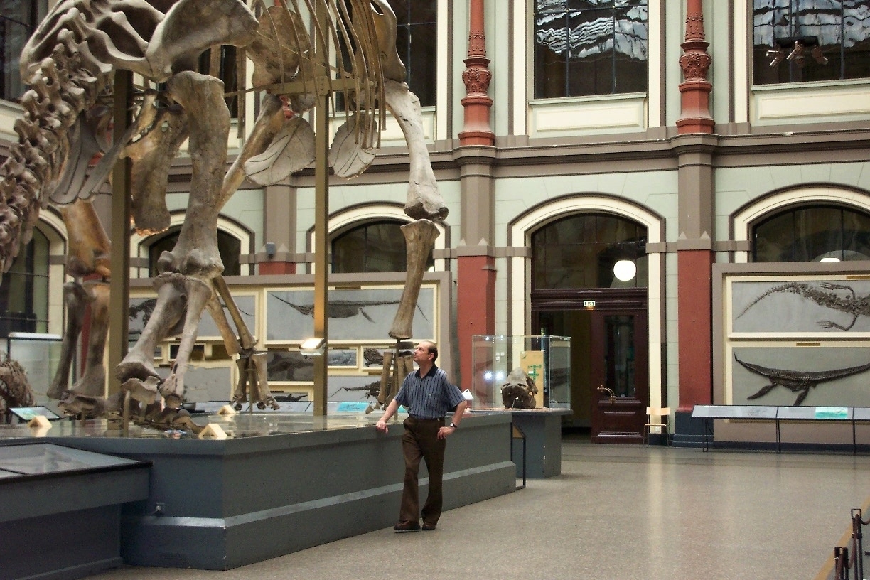 Detailansicht  im Naturkundemuseum  Berlin