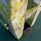 Detailaufnahme an der Seebrücke Boltenhagen