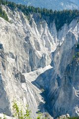 Detailaufnahme aus der Ruinaulta (Surselva/GR/CH)