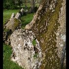 Detailaufnahme des Grange Stone Circles...