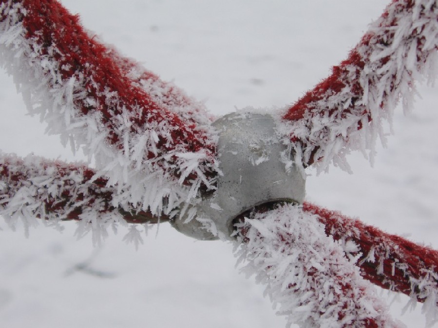 Detailaufnahme rotes Kletterseil