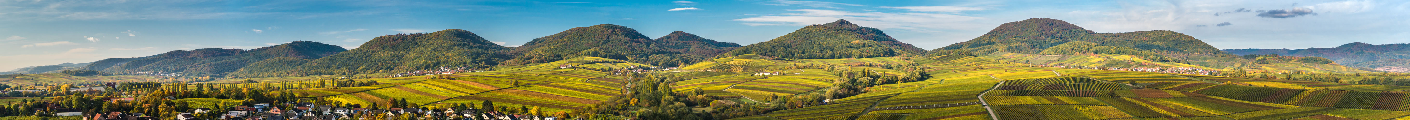 Detailpanorama Aussicht Kleine Kalmit