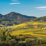 Detailpanorama Aussicht Kleine Kalmit