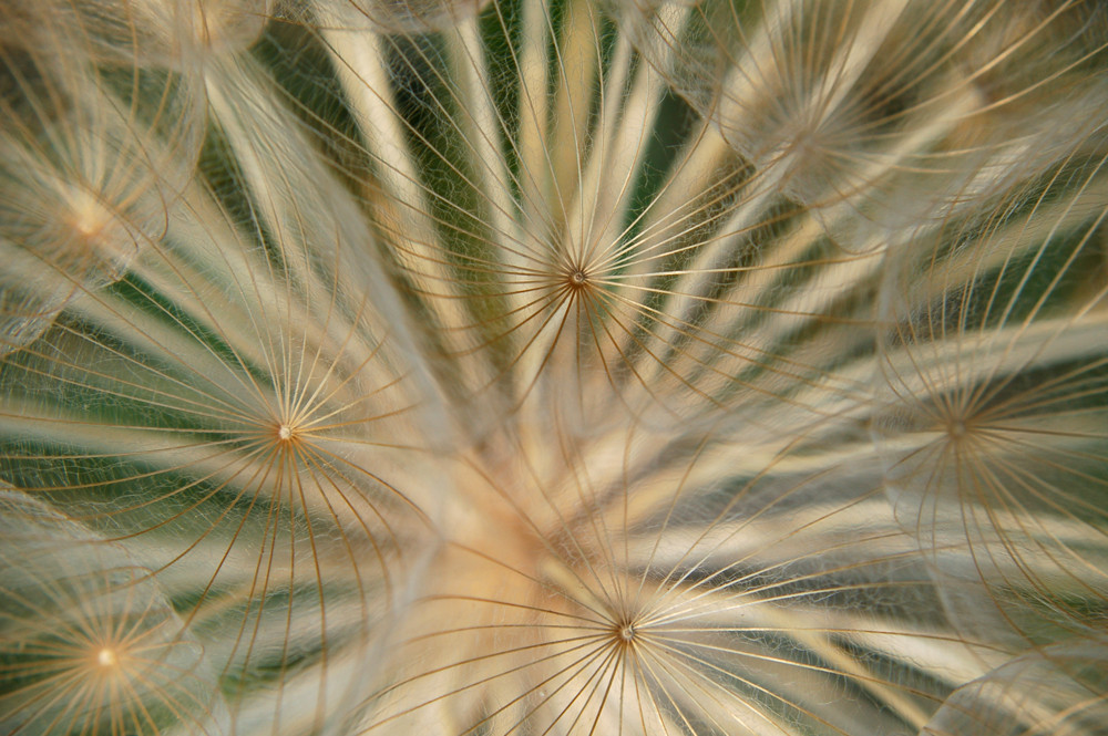 Details De Notre Merveilleuse Nature Photo Et Image Nature Abstraite Clin D Oeil Nature Images Fotocommunity Details De Notre Merveilleuse Nature Photo Et Image Nature Abstraite Clin D Oeil Nature Images Fotocommunity