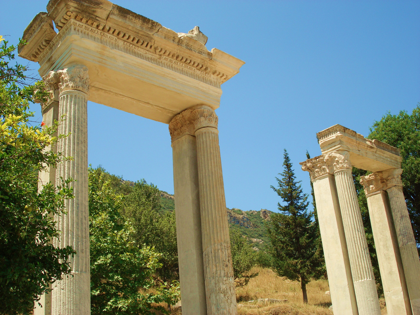 détails de ruines d'Ephese