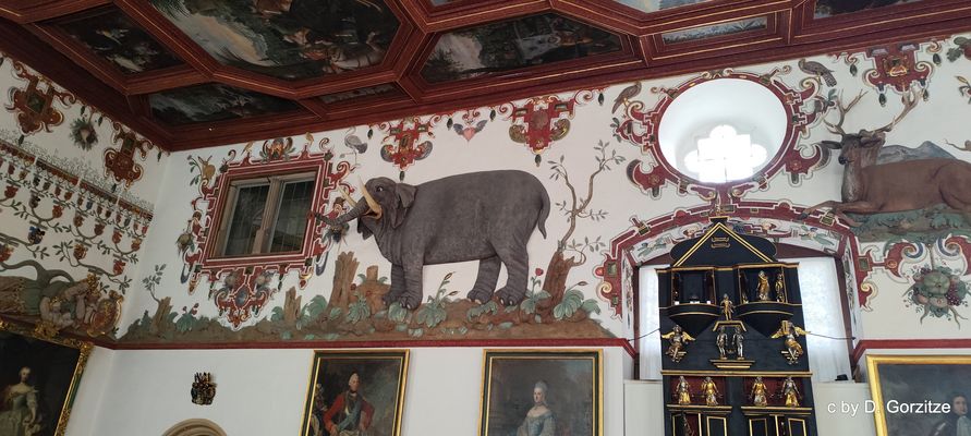 Details eines original erhaltenen Rittersaals !