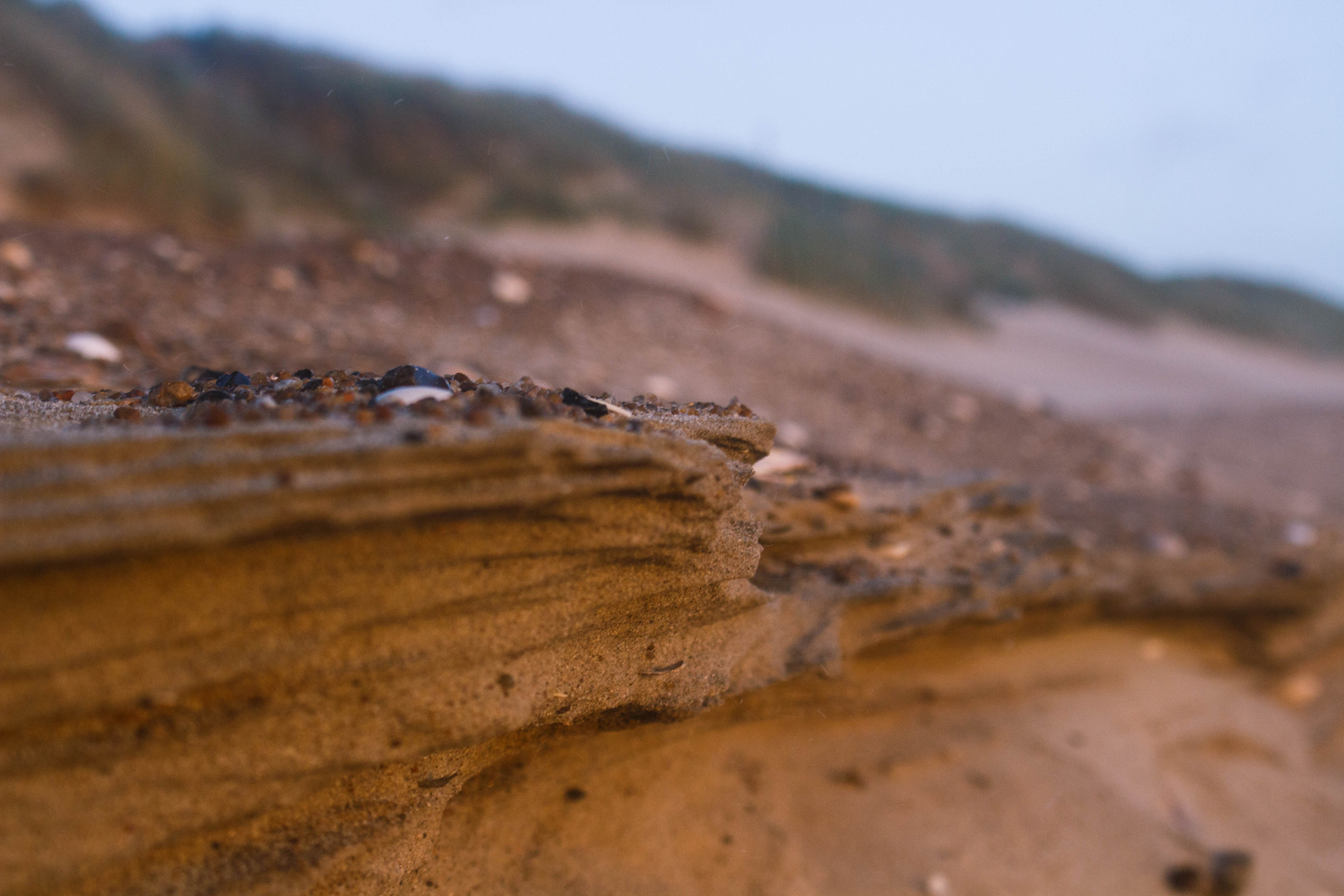 Details im Dünensand