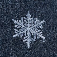Details zum Thema Kälte und Schnee