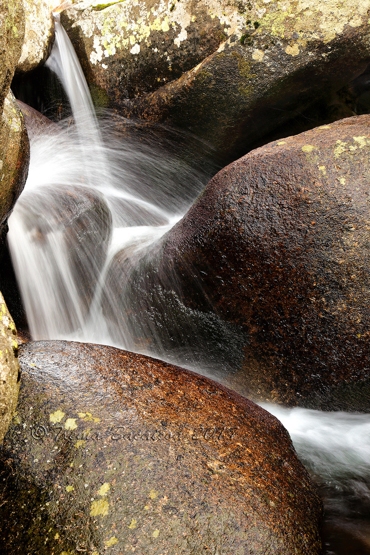 Detalle de agua