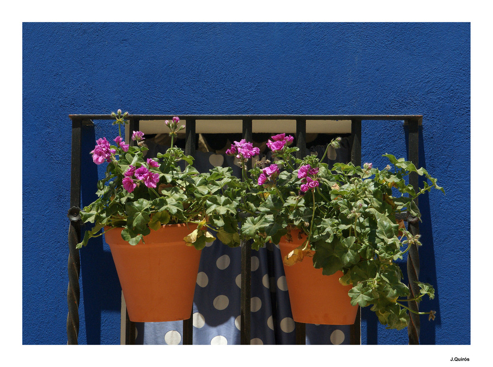 Detalle de la feria