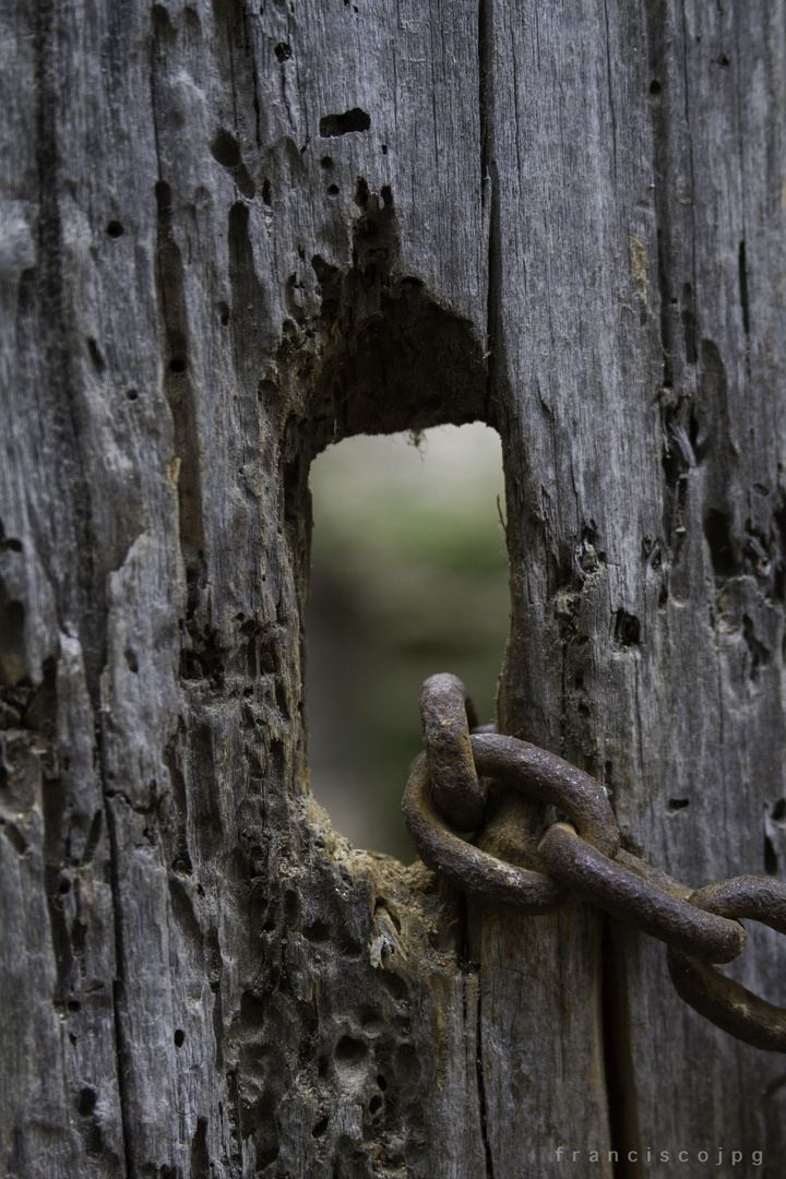 Detalle, textura y cadena