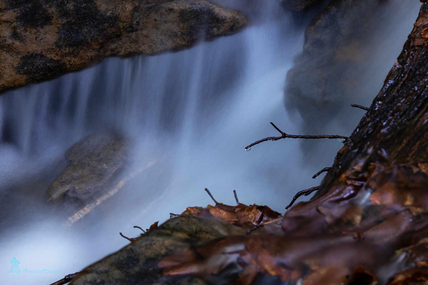 Detalles de Agua