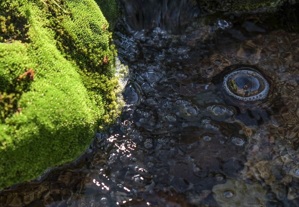 Detalles de la Pedriza II