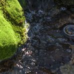 Detalles de la Pedriza II