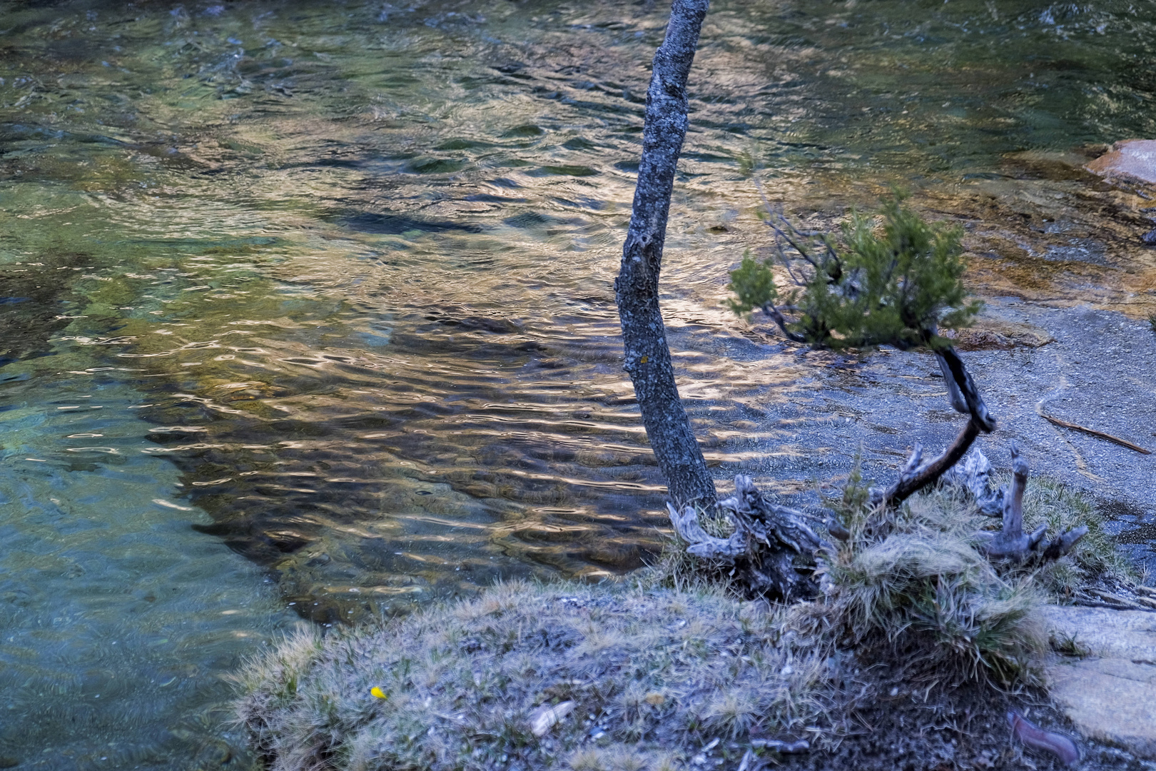 Detalles de la Pedriza III