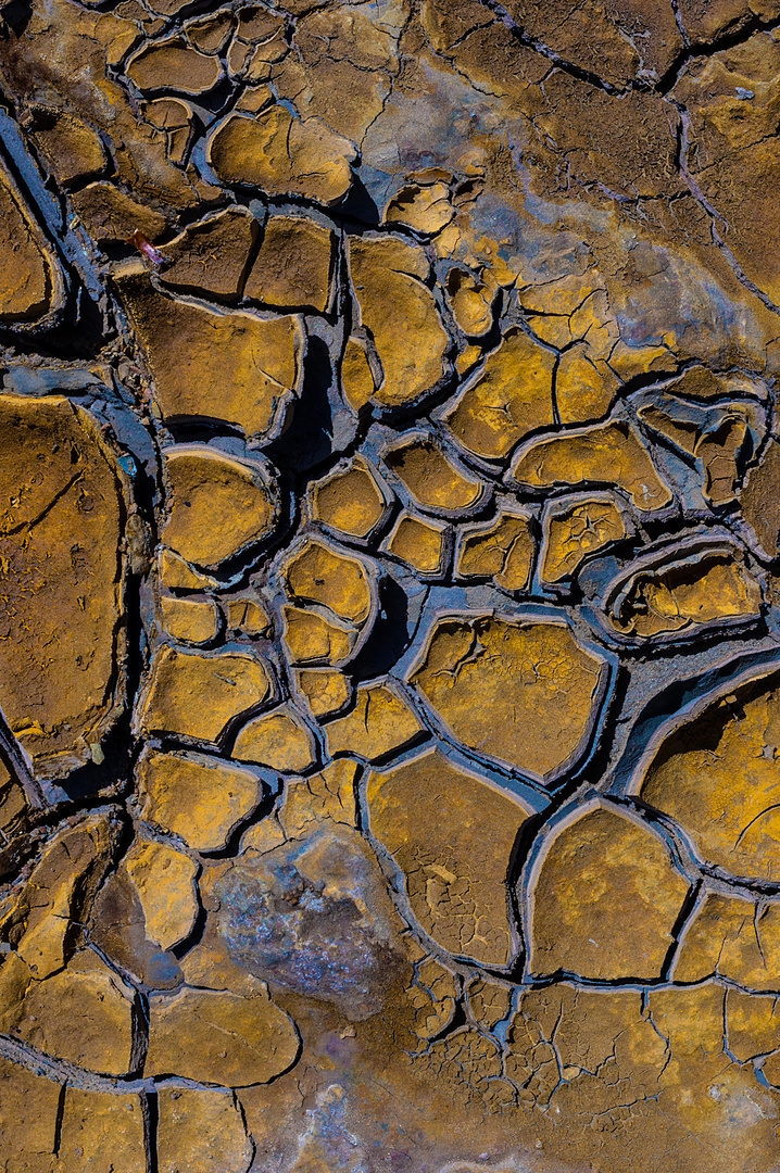 Detalles del río Tinto.