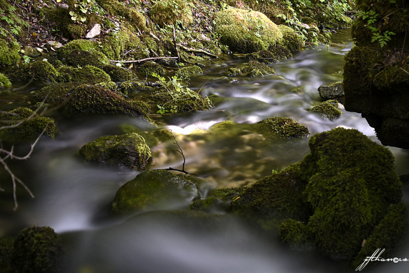 detente photo et image nature, outdoor, natur Images