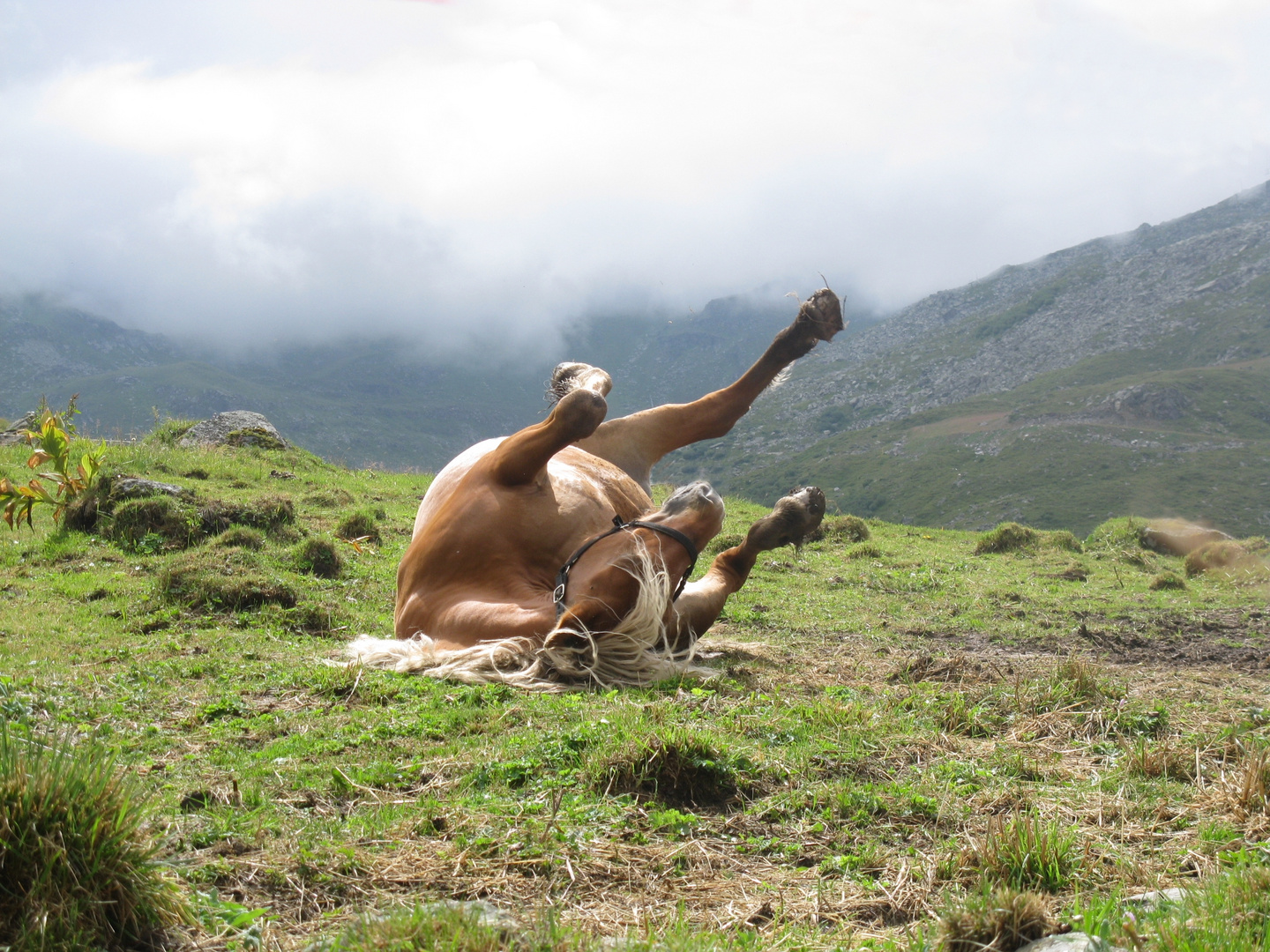 détente à la montagne