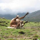 détente à la montagne