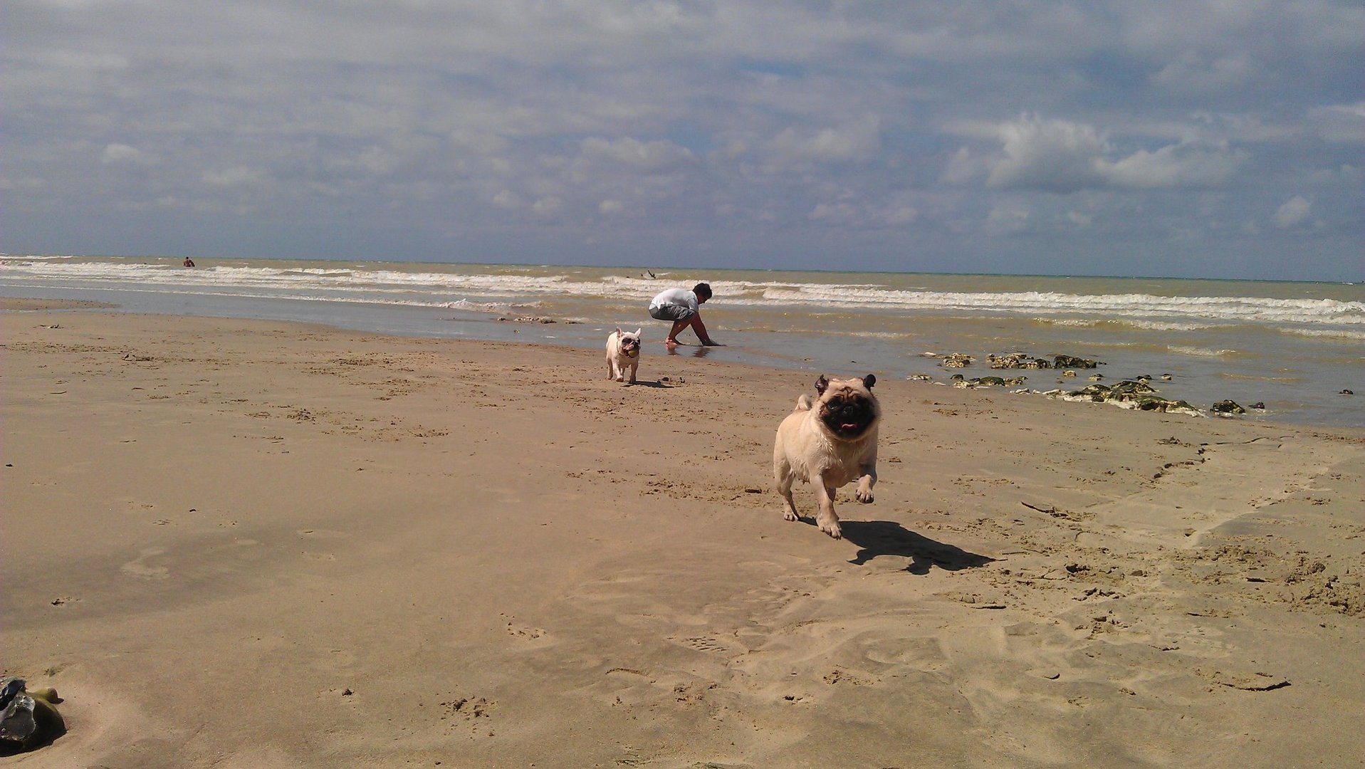 Détente à la plage...