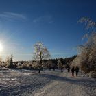 Détente hivernale