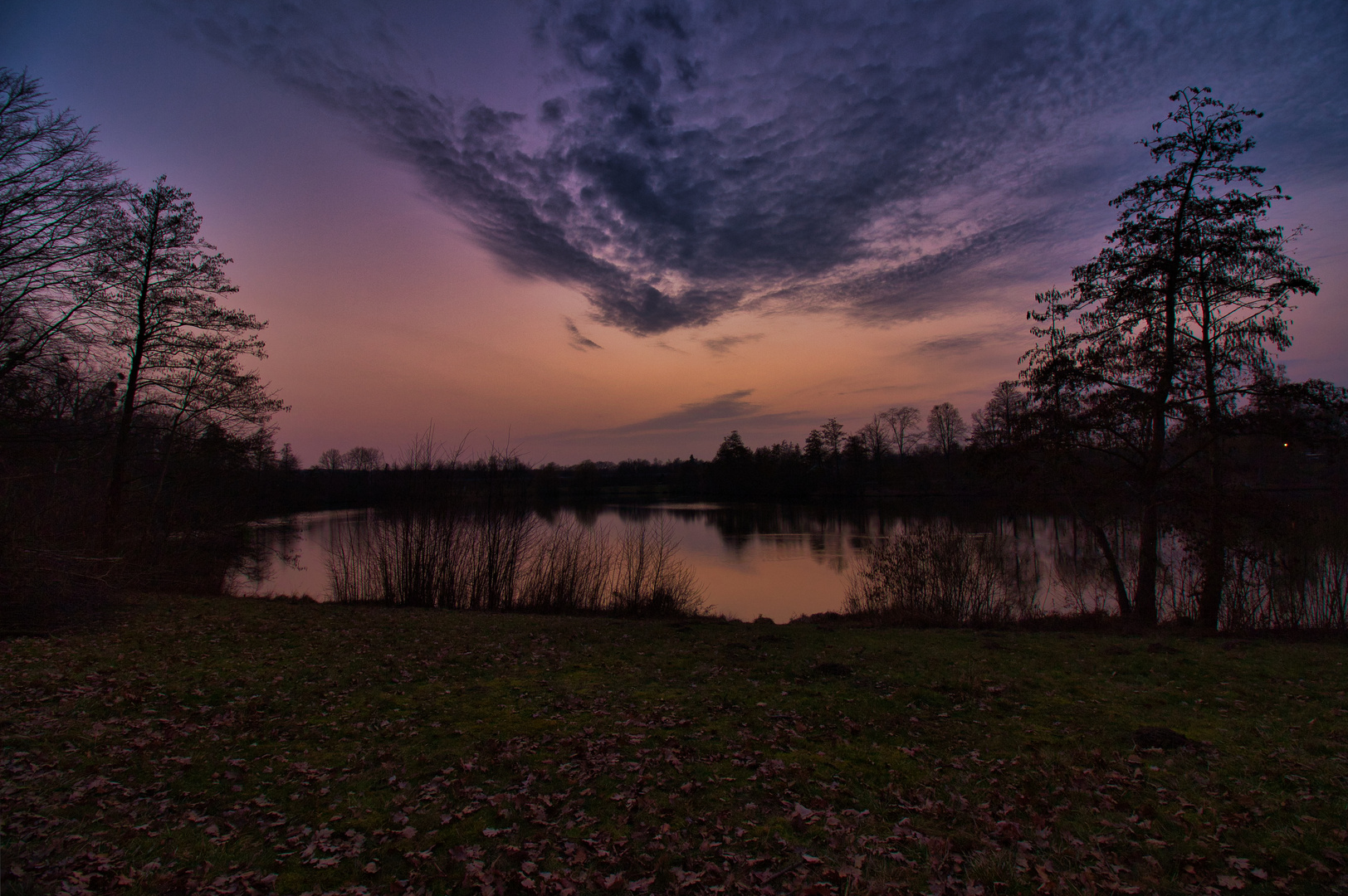 Detmeroder Teich in Wolfsburg am 03.03.2021