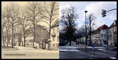 Detmold History 7/ Allee