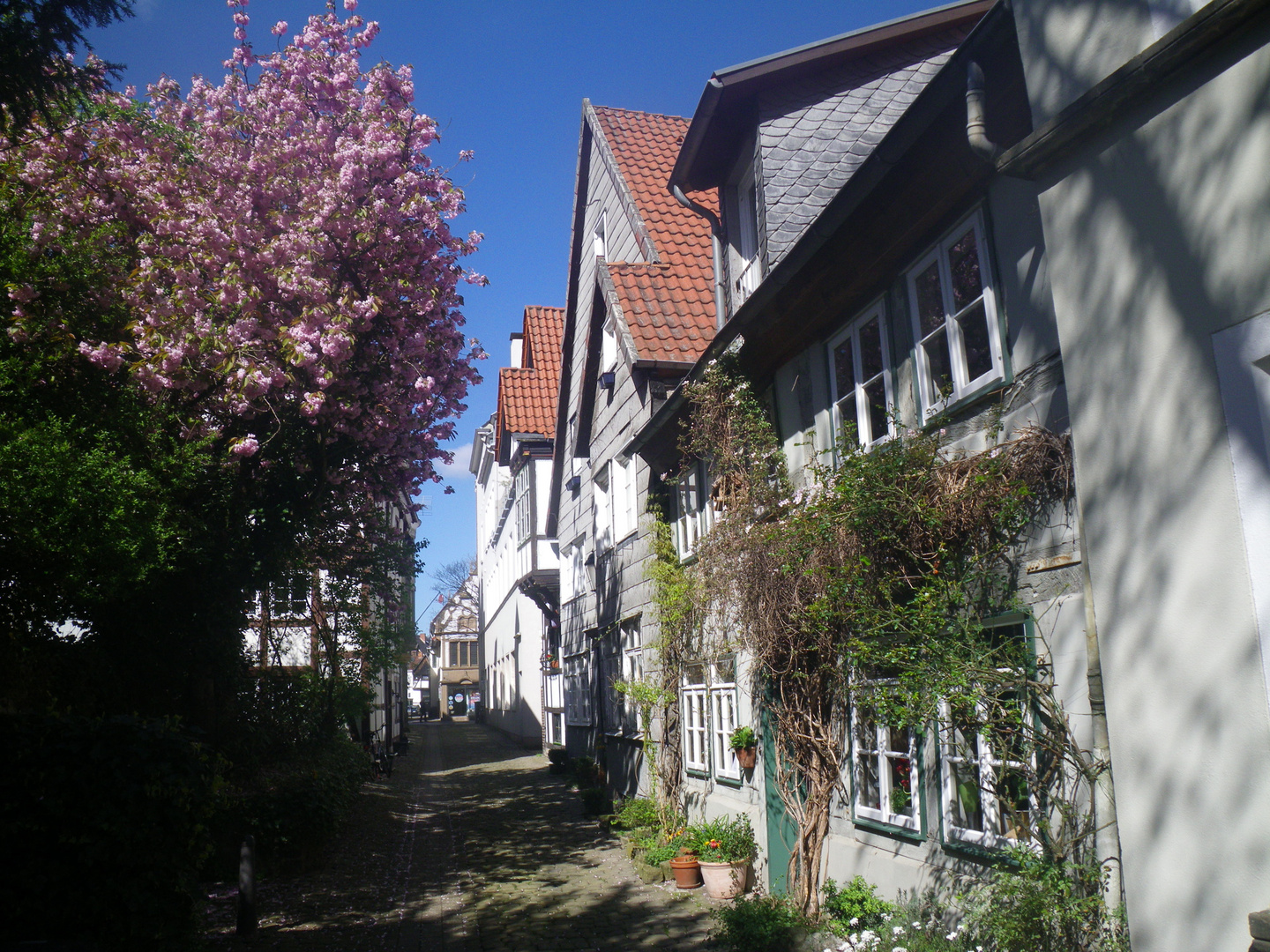 Detmold Innenstadtbereich/ Altstadt