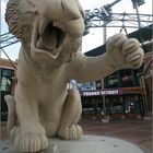 Detroit Tiger