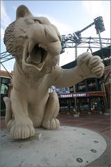 Detroit Tiger