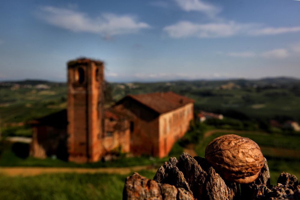 dettagli di un tramonto