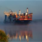 DETTIFOSS / Container ship / NOK / Germany