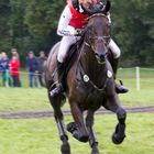 Deutlich in Führung - Ingrid Klimke in Luhmühlen 2011