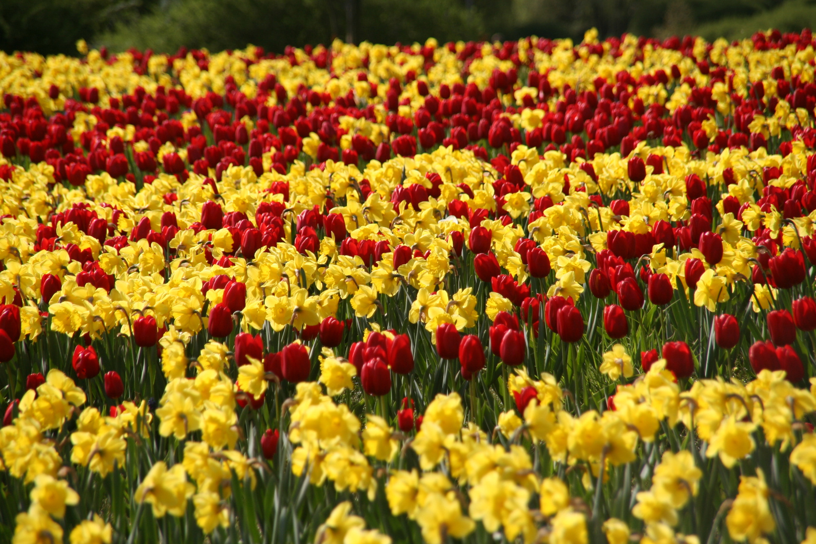 Deutsch - Französischer Garten