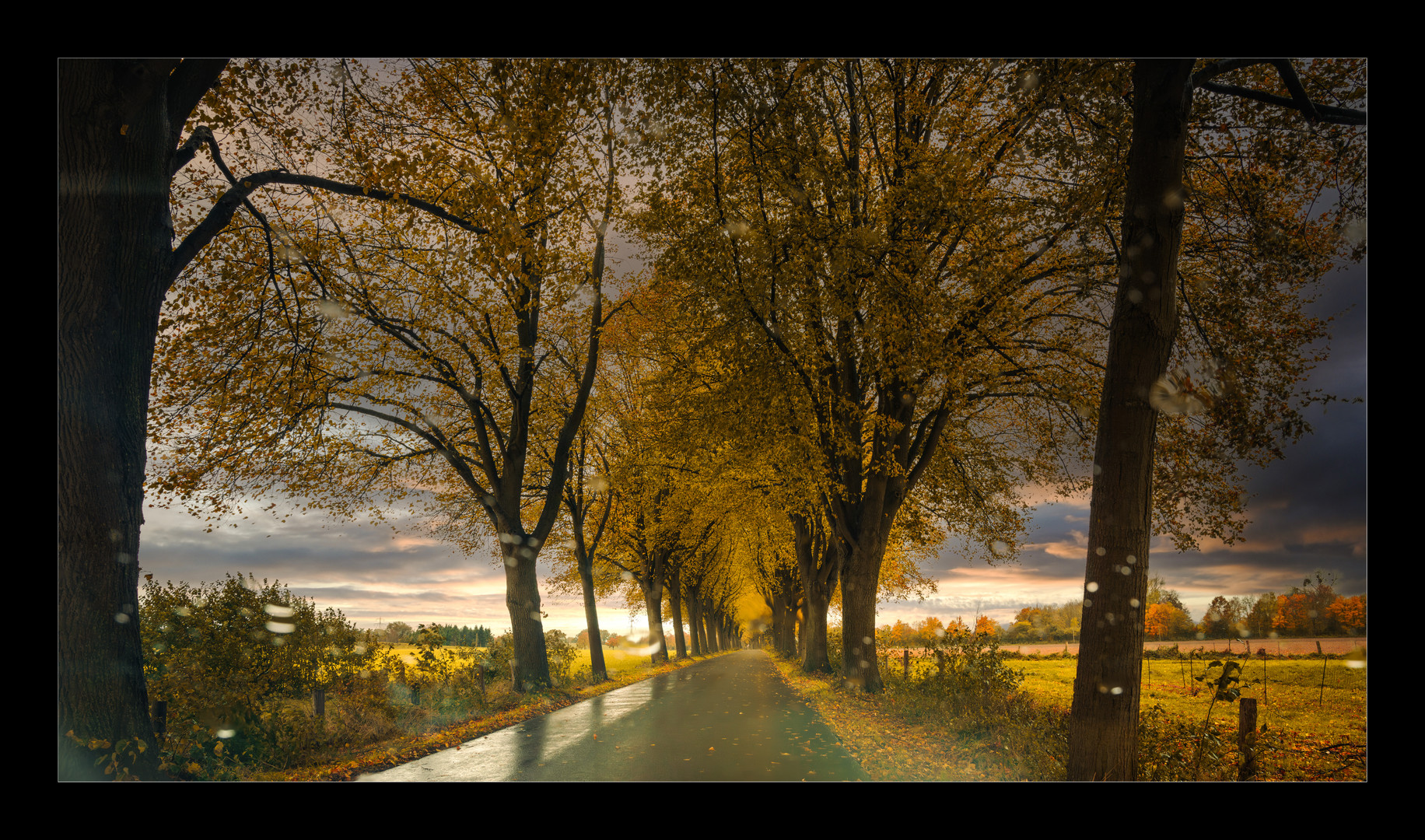 Deutsche Alleenstraße - bei Regen durch die Frontscheibe fotografiert