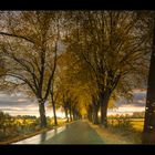 Deutsche Alleenstraße - bei Regen durch die Frontscheibe fotografiert