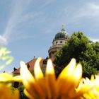 Deutsche Dom am Gendarmenmarkt 