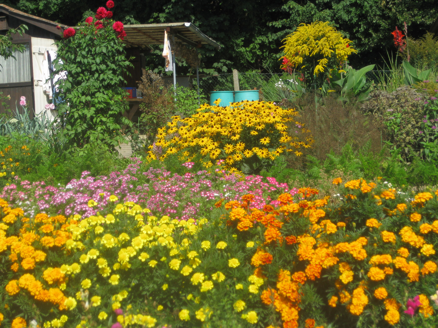 Deutsche Landschaften.....Garten Foto & Bild archiv, deutsche