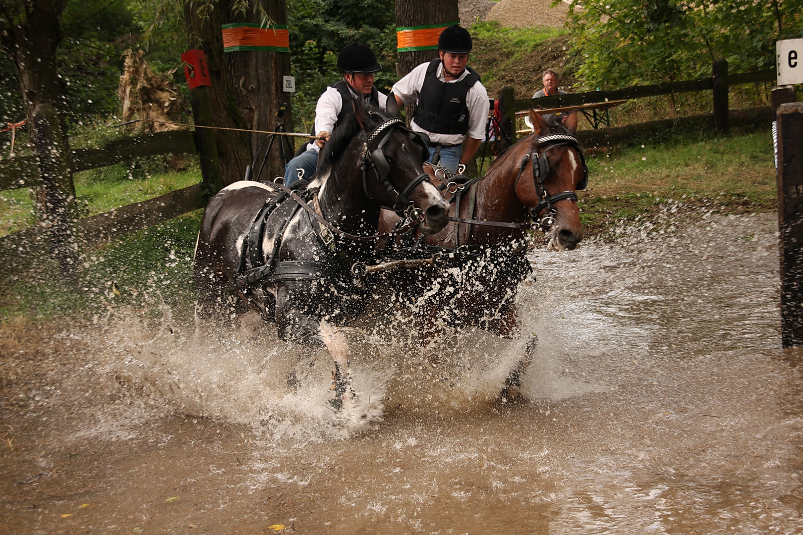 Deutsche Meisterschaft in Grumbach