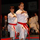 Deutsche Meisterschaft Karate 2006 in Hamburg