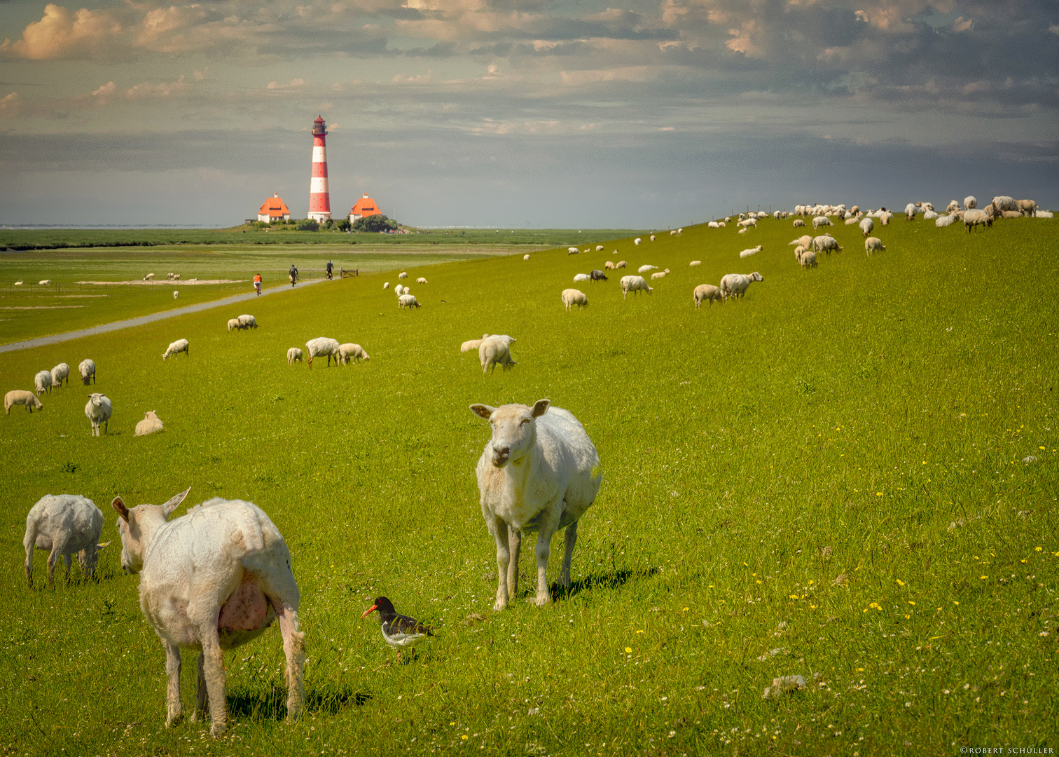  Deutsche Nordseeküste mit allem Pipapo.