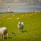  Deutsche Nordseeküste mit allem Pipapo.