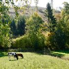 Deutsche Nordwestzipfel Teil 2/1: Hessen