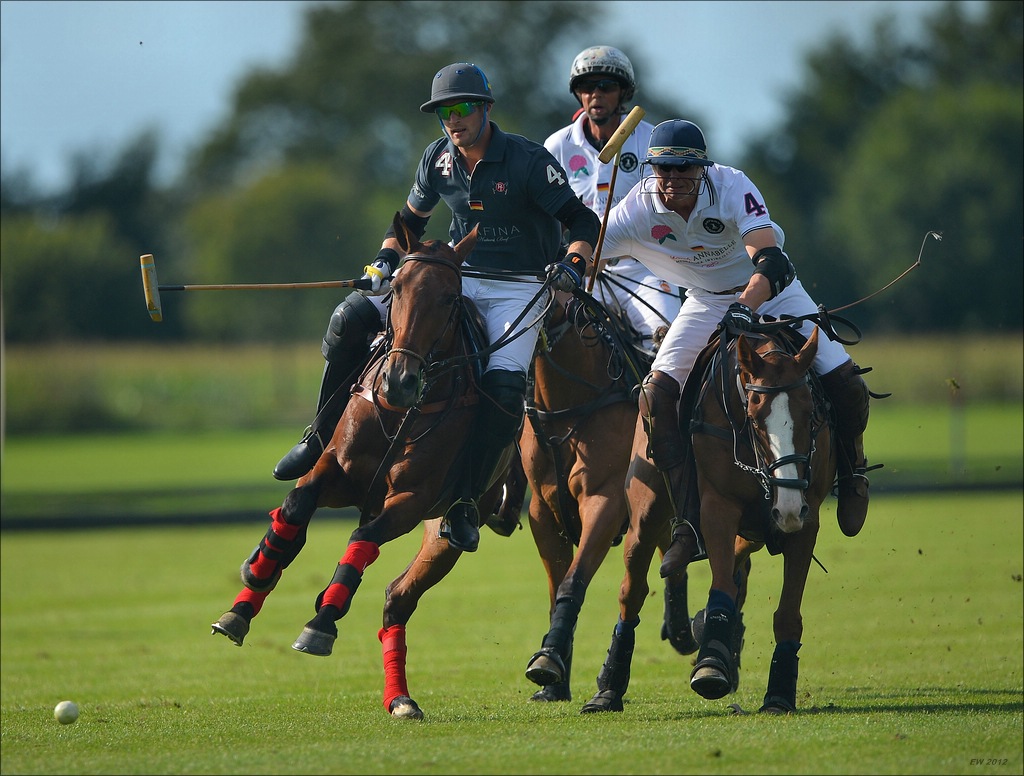 Deutsche Polo Meisterschaften 2012