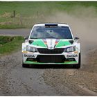 Deutsche Rallye Meister 2017