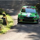 Deutsche Rallyemeister 2019