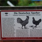 Deutsche Sperber